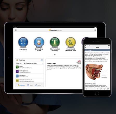 cross-platform mobile development company